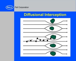 Diffusional Interception Principles of filtration liquid (Intemediate) | PPT