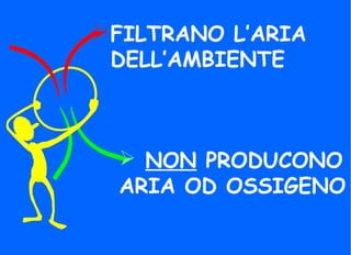  NON PRODUCONO
ARIA OD OSSIGENO
FILTRANO L’ARIA
DELL’AMBIENTE
 