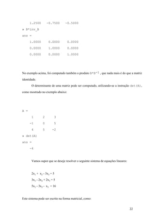 22
1.2500 -0.7500 -0.5000
» B*inv_B
ans =
1.0000 0.0000 0.0000
0.0000 1.0000 0.0000
0.0000 0.0000 1.0000
No exemplo acima, foi computado também o produto B*B-1 , que nada mais é do que a matriz
identidade.
O determinante de uma matriz pode ser computado, utilizando-se a instrução det(A),
como mostrado no exemplo abaixo:
A =
1 2 3
-1 0 5
4 5 -2
» det(A)
ans =
-4
Vamos supor que se deseje resolver o seguinte sistema de equações lineares:
2x1 + x2 - 3x3 = 5
3x1 - 2x2 + 2x3 = 5
5x1 - 3x2 - x3 = 16
Este sistema pode ser escrito na forma matricial, como:
 