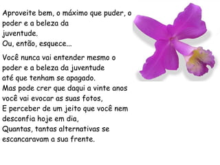 Aproveite bem, o máximo que puder, o poder e a beleza da juventude. Ou, então, esquece...  Você nunca vai entender mesmo o poder e a beleza da juventude até que tenham se apagado. Mas pode crer que daqui a vinte anos você vai evocar as suas fotos, E perceber de um jeito que você nem desconfia hoje em dia, Quantas, tantas alternativas se escancaravam a sua frente. 