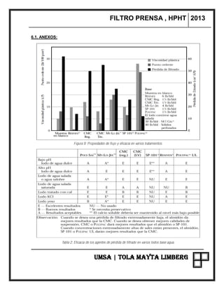 FILTRO PRENSA , HPHT 2013
UMSA | TOLA MAYTA LIMBERG
6.1. ANEXOS:
 