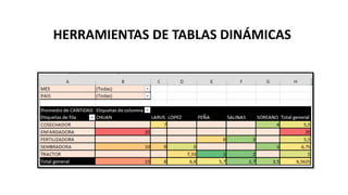 HERRAMIENTAS DE TABLAS DINÁMICAS
 