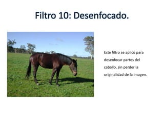 Filtro 10: Desenfocado.
Este filtro se aplico para
desenfocar partes del
caballo, sin perder la
originalidad de la imagen.
 
