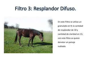 Filtro 3: Resplandor Difuso.
En este Filtro se utilizo un
granulado en 9; la cantidad
de resplandor de 10 y
cantidad de claridad en 15;
con este filtro se quiere
denotar un paisaje
nublado.
 
