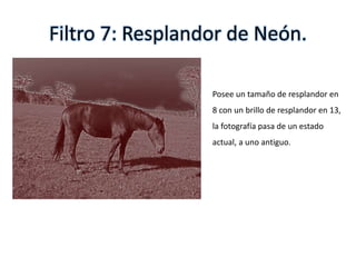 Filtro 7: Resplandor de Neón.
Posee un tamaño de resplandor en
8 con un brillo de resplandor en 13,
la fotografía pasa de un estado
actual, a uno antiguo.
 