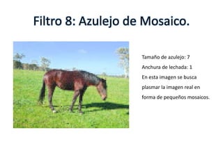 Filtro 8: Azulejo de Mosaico.
Tamaño de azulejo: 7
Anchura de lechada: 1
En esta imagen se busca
plasmar la imagen real en
forma de pequeños mosaicos.
 
