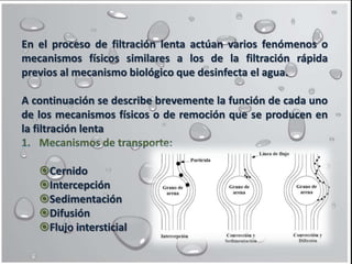 En el proceso de filtración lenta actúan varios fenómenos o
mecanismos físicos similares a los de la filtración rápida
previos al mecanismo biológico que desinfecta el agua.
A continuación se describe brevemente la función de cada uno
de los mecanismos físicos o de remoción que se producen en
la filtración lenta
Cernido
Intercepción
Sedimentación
Difusión
Flujo intersticial
 