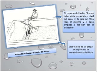 El raspado del lecho filtrante
debe iniciarse cuando el nivel
del agua en la caja del filtro
llega al máximo y el agua
empieza a rebosar por el
aliviadero.
Este es uno de las etapas
en el proceso de
mantenimiento del filtro.
 