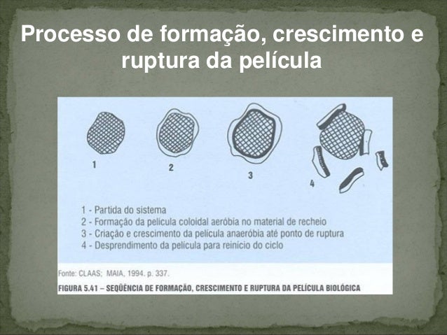 ete caçadores cambé da sanepar Cap 4 home documents cap 4. ete caçadores cambé da sanepar Cap 4 home documents cap 4.