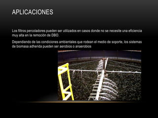 APLICACIONES
Los filtros percoladores pueden ser utilizados en casos donde no se necesite una eficiencia
muy alta en la remoción de DBO.
Dependiendo de las condiciones ambientales que rodean el medio de soporte, los sistemas
de biomasa adherida pueden ser aerobios o anaerobios
 