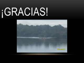 ¡GRACIAS!
 