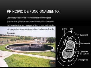 PRINCIPIO DE FUNCIONAMIENTO:
Los filtros percoladores son reactores biotecnológicos
que basan su principio de funcionamiento en la remoción
de los contaminantes biodegradables por una película de
microorganismos que se desarrolla sobre la superficie del
Empaque.
 