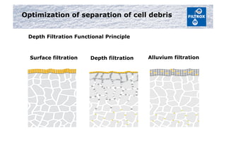 Depth filtration Alluvium filtration
Optimization of separation of cell debris
Surface filtration
Depth Filtration Functional Principle
 