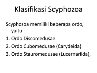 Klasifikasi Scyphozoa
Scyphozoa memiliki beberapa ordo,
   yaitu :
1. Ordo Discomedusae
2. Ordo Cubomedusae (Carydeida)
3. Ordo Stauromedusae (Lucernariida),
 