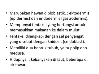 • Merupakan hewan diploblastik. : ektodermis
  (epidermis) dan endodermis (gastrodermis).
• Mempunyai tentakel yang berfungsi untuk
  memasukkan makanan ke dalam mulut.
• Tentakel dilengkapi dengan sel penyengat
  yang disebut dengan knidosit (cnidoblast).
• Memiliki dua bentuk tubuh, yaitu polip dan
  medusa.
• Hidupnya : kebanyakan di laut, beberapa di
  air tawar
 
