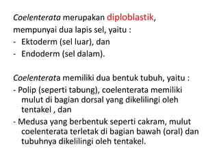 Coelenterata merupakan diploblastik,
mempunyai dua lapis sel, yaitu :
- Ektoderm (sel luar), dan
- Endoderm (sel dalam).

Coelenterata memiliki dua bentuk tubuh, yaitu :
- Polip (seperti tabung), coelenterata memiliki
   mulut di bagian dorsal yang dikelilingi oleh
   tentakel , dan
- Medusa yang berbentuk seperti cakram, mulut
   coelenterata terletak di bagian bawah (oral) dan
   tubuhnya dikelilingi oleh tentakel.
 
