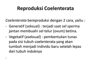 Reproduksi Coelenterata

Coelenterata bereproduksi dengan 2 cara, yaitu :
- Generatif (seksual) : terjadi saat sel sperma
  jantan membuahi sel telur (ovum) betina.
- Vegetatif (aseksual) : pembentukan tunas
  pada sisi tubuh coelenterata yang akan
  tumbuh menjadi individu baru setelah lepas
  dari tubuh induknya
.
 