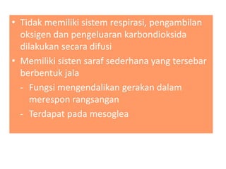 • Tidak memiliki sistem respirasi, pengambilan
oksigen dan pengeluaran karbondioksida
dilakukan secara difusi
• Memiliki sisten saraf sederhana yang tersebar
berbentuk jala
- Fungsi mengendalikan gerakan dalam
merespon rangsangan
- Terdapat pada mesoglea
 