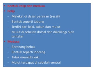 • Bentuk Polip dan medusa
• Polip
- Melekat di dasar perairan (sessil)
- Bentuk seperti tabung
- Terdiri dari kaki, tubuh dan mulut
- Mulut di sebelah dorsal dan dikelilingi oleh
tentakel
• Medusa
- Berenang bebas
- Bentuk seperti lonceng
- Tidak memiliki kaki
- Mulut terdapat di sebelah ventral
 