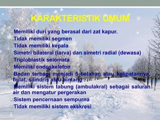 KARAKTERISTIK UMUM
Memiliki duri yang berasal dari zat kapur.
Tidak memiliki segmen
Tidak memiliki kepala
Simetri bilateral (larva) dan simetri radial (dewasa)
Triploblastik selomata
Memiliki endoskeleton
Badan terbagi menjadi 5 belahan atau kelipatannya,
bulat, silindris atau bintang
Memiliki sistem tabung (ambulakral) sebagai saluran
air dan mengatur pergerakan
Sistem pencernaan sempurna
Tidak memiliki sistem ekskresi
 