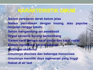 KARAKTERISTIK UMUM
Sistem peredaran darah belum jelas
Sistem pernafasan dengan insang, atau papulae
(tonjolan rongga tubuh)
Selom mengandung sel amoebosit
Organ sensoris kurang berkembang
Sistem saraf berupa saraf cincin dan saraf radial
Sistem reproduksi secara seksual
Fertilisasi eksternal
Umumnya diocioes dan beberapa monocioes
Umumnya memiliki daya regenerasi yang tinggi
Habiat di air laut
 