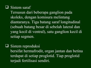  Sistem saraf
  Tersusun dari beberapa ganglion pada
  skoleks, dengan komisura melintang
  diantaranya. Tiga batang saraf longitudinal
  (sebuah batang besar di sebelah lateral dan
  yang kecil di ventral), satu ganglion kecil di
  setiap segmen.

 Sistem reproduksi
  bersifat hermafrodit, organ jantan dan betina
  terdapat di setiap proglotid. Tiap proglotid
  terjadi fertilisasi sendiri.
 