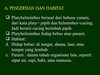A. PENGERTIAN DAN HABITAT

 Platyhelminthes berasal dari bahasa yunani,
   dari kata platy= pipih dan helminthes=cacing.
   Jadi berarti cacing bertubuh pipih.
 Platyhelminthes hidup bebas atau parasit.
 Habitat:
d. Hidup bebas: di sungai, danau, laut, atau
   tempat yang lembab.
e. Parasit : dalam tubuh organisme lain, seperti:
   siput air, sapi, babi, atau manusia.
 