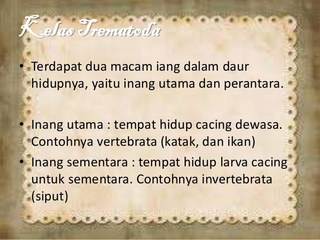 Filum platyhelminthes X SMA by. Gabrielle T Linkherz