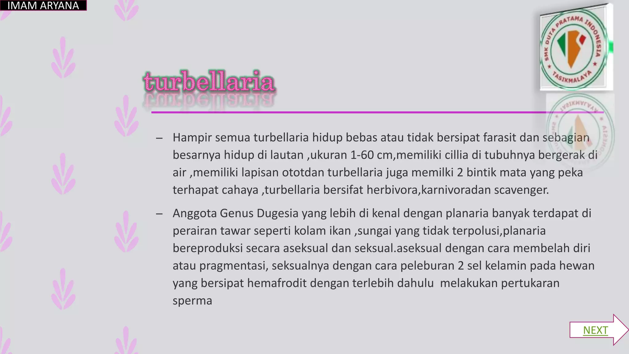 – Hampir semua turbellaria hidup bebas atau tidak bersipat farasit dan sebagian
besarnya hidup di lautan ,ukuran 1-60 cm,memiliki cillia di tubuhnya bergerak di
air ,memiliki lapisan ototdan turbellaria juga memilki 2 bintik mata yang peka
terhapat cahaya ,turbellaria bersifat herbivora,karnivoradan scavenger.
– Anggota Genus Dugesia yang lebih di kenal dengan planaria banyak terdapat di
perairan tawar seperti kolam ikan ,sungai yang tidak terpolusi,planaria
bereproduksi secara aseksual dan seksual.aseksual dengan cara membelah diri
atau pragmentasi, seksualnya dengan cara peleburan 2 sel kelamin pada hewan
yang bersipat hemafrodit dengan terlebih dahulu melakukan pertukaran
sperma
IMAM ARYANA
NEXT
 