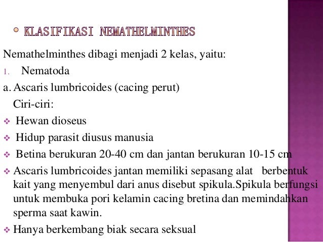 Filum Platyhelminthes Nemathelminthes Anellida
