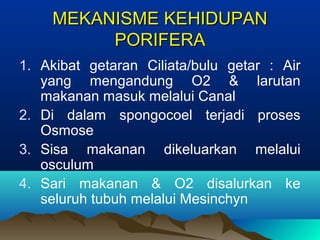 MEKANISME KEHIDUPANMEKANISME KEHIDUPAN
PORIFERAPORIFERA
1. Akibat getaran Ciliata/bulu getar : Air
yang mengandung O2 & larutan
makanan masuk melalui Canal
2. Di dalam spongocoel terjadi proses
Osmose
3. Sisa makanan dikeluarkan melalui
osculum
4. Sari makanan & O2 disalurkan ke
seluruh tubuh melalui Mesinchyn
 