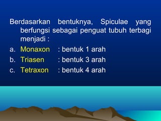Berdasarkan bentuknya, Spiculae yang
berfungsi sebagai penguat tubuh terbagi
menjadi :
a. Monaxon : bentuk 1 arah
b. Triasen : bentuk 3 arah
c. Tetraxon : bentuk 4 arah
 