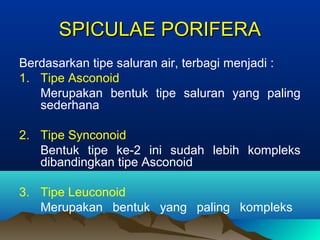 SPICULAE PORIFERASPICULAE PORIFERA
Berdasarkan tipe saluran air, terbagi menjadi :
1. Tipe Asconoid
Merupakan bentuk tipe saluran yang paling
sederhana
2. Tipe Synconoid
Bentuk tipe ke-2 ini sudah lebih kompleks
dibandingkan tipe Asconoid
3. Tipe Leuconoid
Merupakan bentuk yang paling kompleks
 