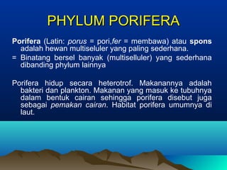 PHYLUM PORIFERAPHYLUM PORIFERA
Porifera (Latin: porus = pori,fer = membawa) atau spons
adalah hewan multiseluler yang paling sederhana.
= Binatang bersel banyak (multiselluler) yang sederhana
dibanding phylum lainnya
Porifera hidup secara heterotrof. Makanannya adalah
bakteri dan plankton. Makanan yang masuk ke tubuhnya
dalam bentuk cairan sehingga porifera disebut juga
sebagai pemakan cairan. Habitat porifera umumnya di
laut.
 