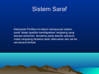 Sistem Saraf
Kelompok Porifera ini belum mempunyai sistem
saraf, tetapi apabila mendapatkan rangsang yang
berupa sentuhan, terutama pada daerah oskulum,
maka rangsang tersebut akan diteruskan dari sel ke
sel secara lambat.
 