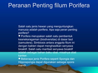 Peranan Penting filum Porifera
Salah satu jenis hewan yang menguntungkan
manusia adalah porifera. Apa saja peran penting
porifera?
Porifera merupakan salah satu pembentuk
keanekaragaman (biodiversitas) di dasar laut
(samudera). Simbiosis antara anggota filum ini
dengan bakteri dapat menghasilkan senyawa
bioaktif. Salah satu manfaat senyawa bioaktif
adalah sebagai bahan baku obat, misalnya obat
kanker.
Beberapa jenis Porifera seperti Spongia dan
Hippospongia dapat digunakan sebagai spons
mandi.
 