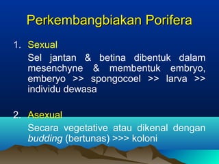 Perkembangbiakan PoriferaPerkembangbiakan Porifera
1. Sexual
Sel jantan & betina dibentuk dalam
mesenchyne & membentuk embryo,
emberyo >> spongocoel >> larva >>
individu dewasa
2. Asexual
Secara vegetative atau dikenal dengan
budding (bertunas) >>> koloni
 