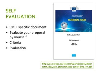 SME Instrument: experiences from the 1st call