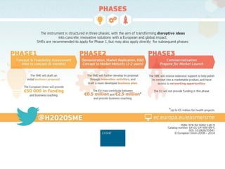 SME Instrument: experiences from the 1st call