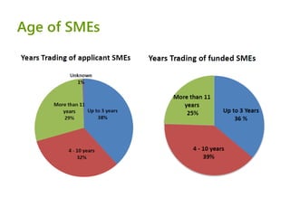 SME Instrument: experiences from the 1st call