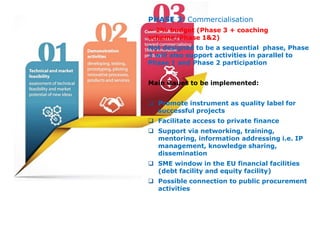 SME Instrument: experiences from the 1st call