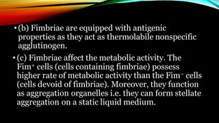 •(b) Fimbriae are equipped with antigenic
properties as they act as thermolabile nonspecific
agglutinogen.
•(c) Fimbriae affect the metabolic activity. The
Fim+ cells (cells containing fimbriae) possess
higher rate of metabolic activity than the Fim– cells
(cells devoid of fimbriae). Moreover, they function
as aggregation organelles i.e. they can form stellate
aggregation on a static liquid medium.
 