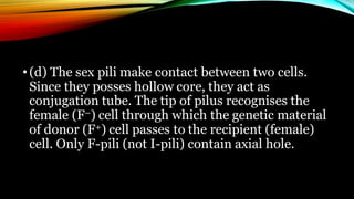•(d) The sex pili make contact between two cells.
Since they posses hollow core, they act as
conjugation tube. The tip of pilus recognises the
female (F–) cell through which the genetic material
of donor (F+) cell passes to the recipient (female)
cell. Only F-pili (not I-pili) contain axial hole.
 