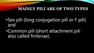 •Sex pili (long conjugation pili or F pili)
and
•Common pili (short attachment pili
also called fimbriae).
MAINLY PILI ARE OF TWO TYPES
 