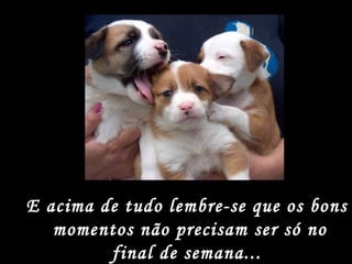 E acima de tudo lembre-se que os bons momentos não precisam ser só no final de semana... 
