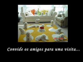 Convide os amigos para uma visita... 