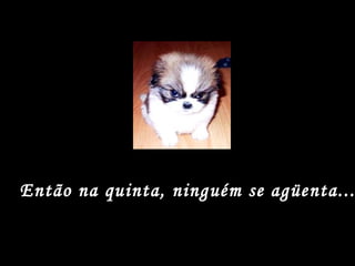 Então na quinta, ninguém se agüenta... 