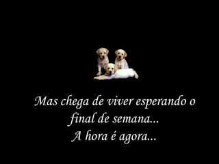 Mas chega de viver esperando o final de semana... A hora é agora... 