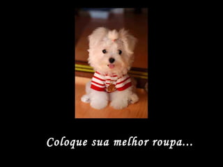 Coloque sua melhor roupa... 