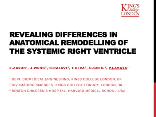 REVEALING DIFFERENCES IN
ANATOMICAL REMODELLING OF
THE SYSTEMIC RIGHT VENTRICLE
E.ZACUR1, J.WONG2, R.RAZAVI2, T.GEVA3, G.GREIL2, P.LAMATA1
1 DEPT. BIOMEDICAL ENGINEERING, KINGS COLLEGE LONDON, UK
2 DIV. IMAGING SCIENCES, KINGS COLLEGE LONDON, LONDON, UK
3 BOSTON CHILDREN’S HOSPITAL, HARVARD MEDICAL SCHOOL, USA
 